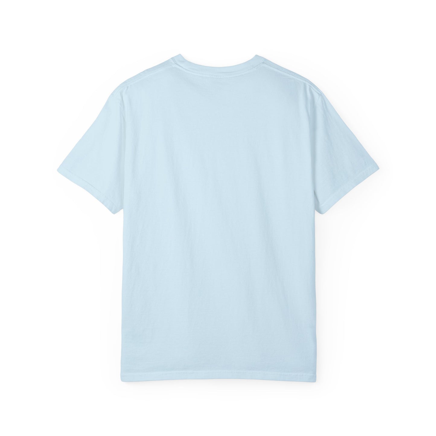 Everyone Eventually Dips Their Toes In The Rainbow Pond Graphic Tee, Gay Pride Shirt, LGBTQ, Pride Shirt, Rainbow Shirt, Pride Merch