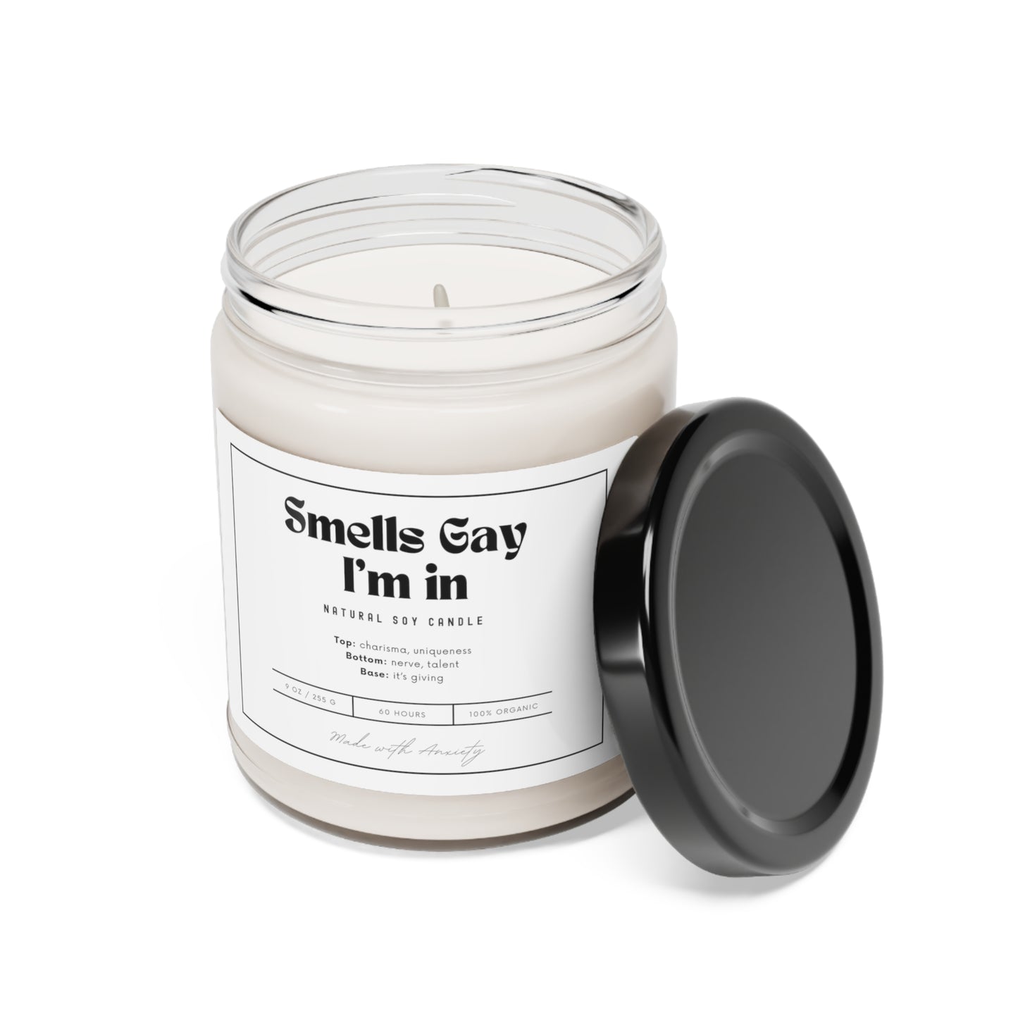 Sounds Gay I'm In Candle, LGBT Candle, Homesick Candles, Pride Merch, Birthday Candles, Equality Candle, Pride Month, Scented Candles