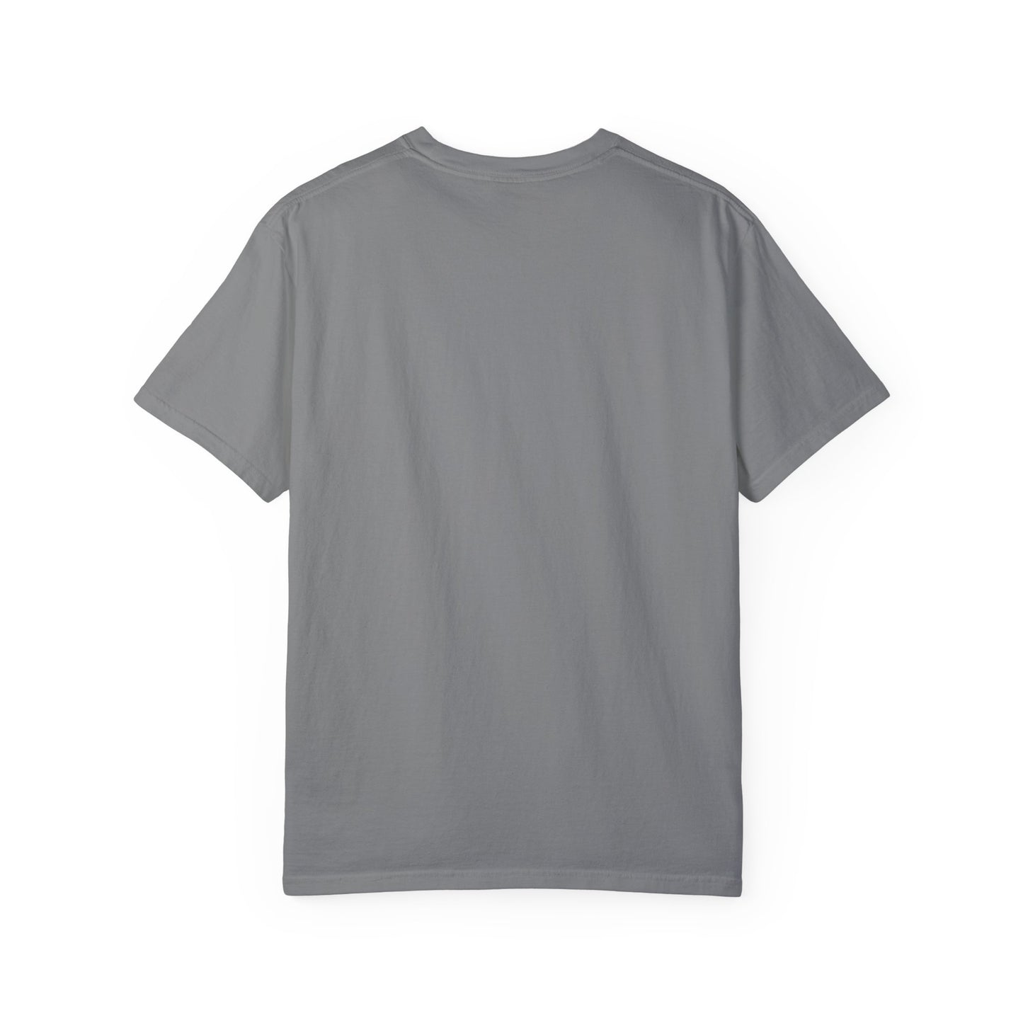 Everyone Eventually Dips Their Toes In The Rainbow Pond Graphic Tee, Gay Pride Shirt, LGBTQ, Pride Shirt, Rainbow Shirt, Pride Merch
