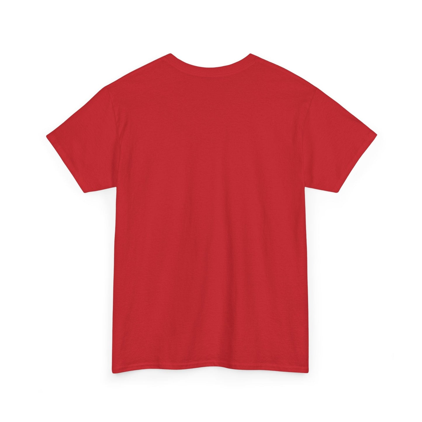 Dom Dolla Tour Shirt, Oversized T Shirts, Festival Outfits, Music festival outfits, Rave Shirt, EDM Shirt, Dom Dolla Shirt, Dance/Electronic T - Shirt - Clarity Threads
