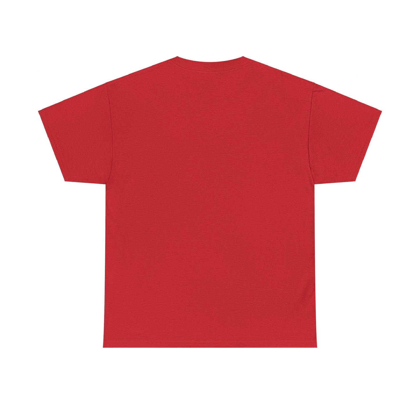 Dom Dolla Tour Shirt, Oversized T Shirts, Festival Outfits, Music festival outfits, Rave Shirt, EDM Shirt, Dom Dolla Shirt, Dance/Electronic T - Shirt - Clarity Threads