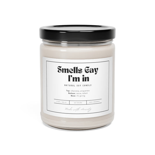 Sounds Gay I'm In Candle, LGBT Candle, Homesick Candles, Pride Merch, Birthday Candles, Equality Candle, Pride Month, Scented Candles